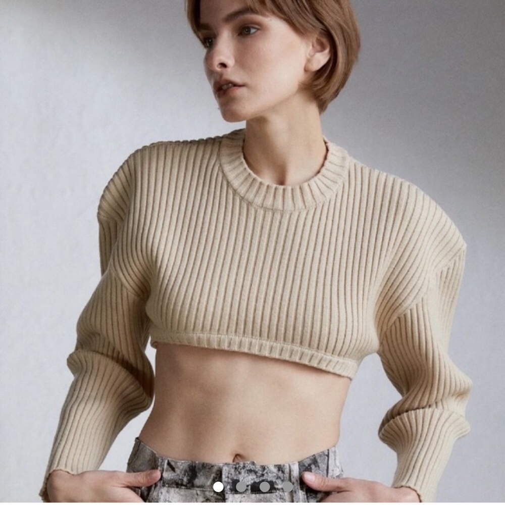 Source Unknown Cropped Ribbed Sweater